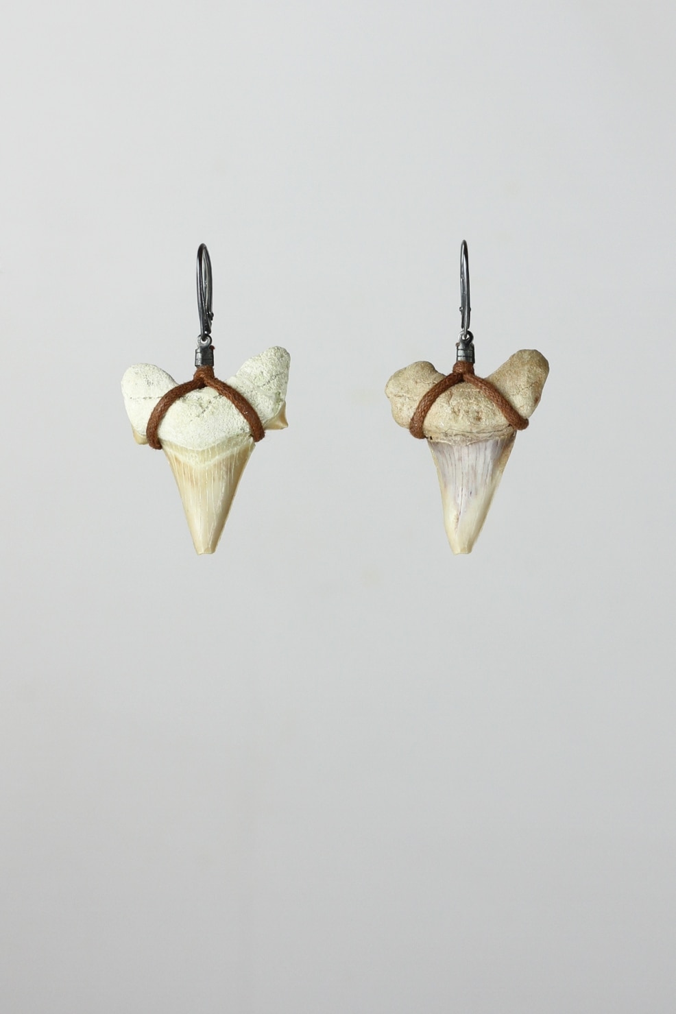Shark tooth and burned silver earrings